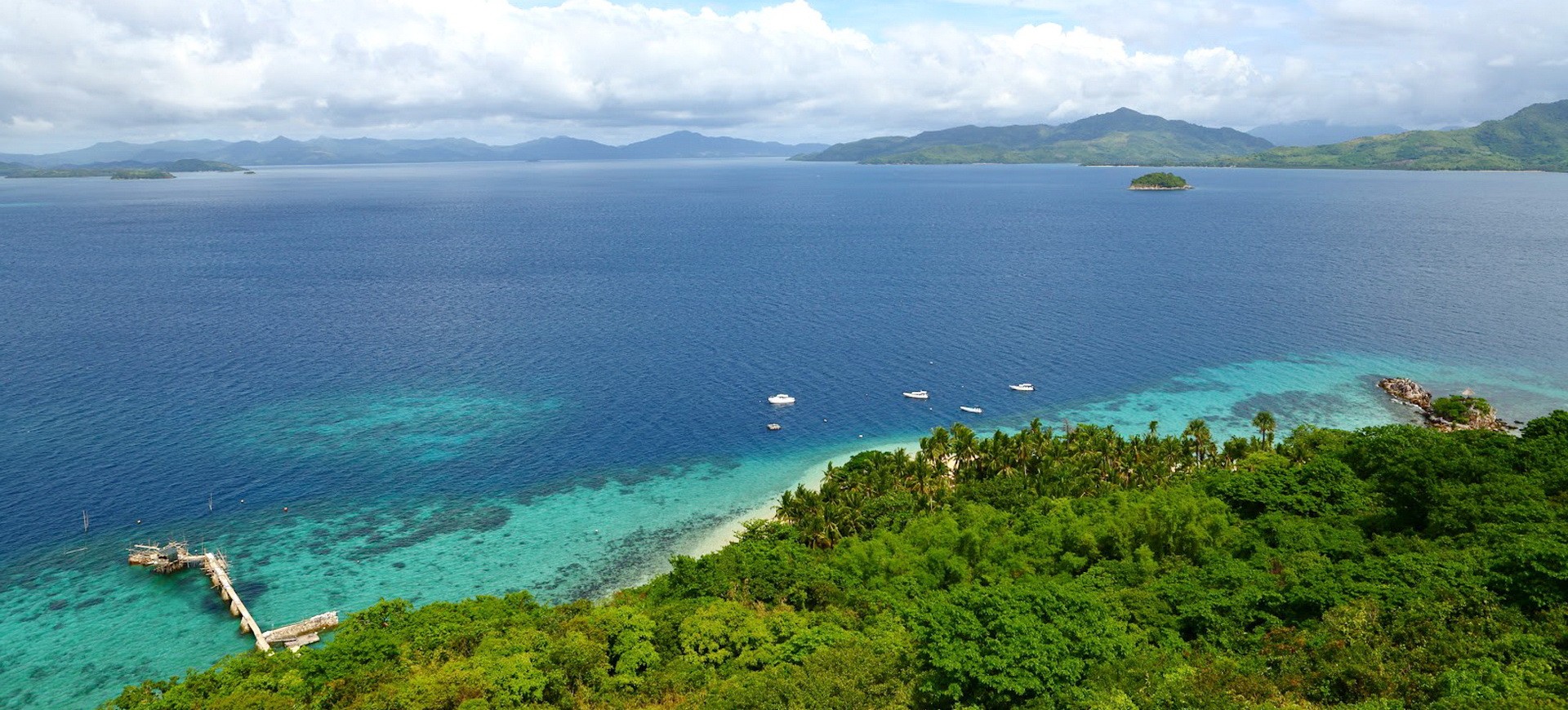 Philippines Ile de Palawan Flower Island