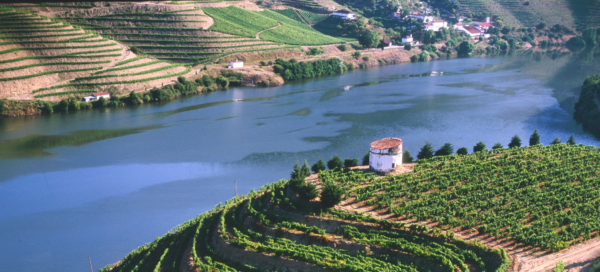 Portugal Vignobles
