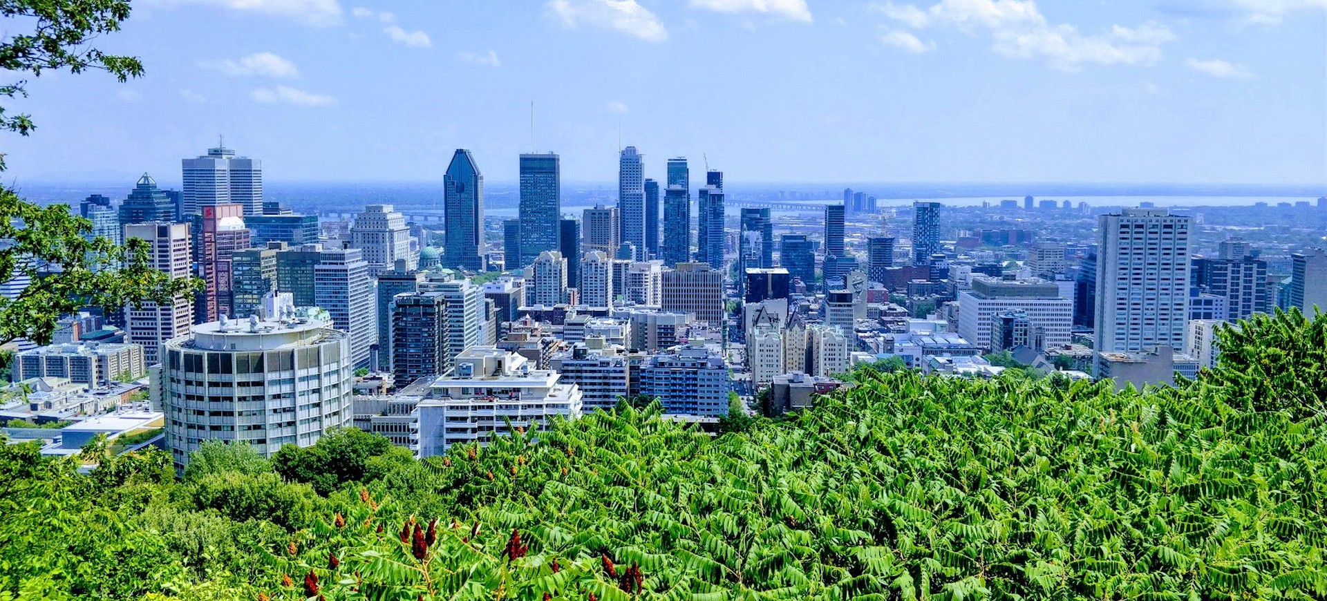 Canada Montréal vue panoramique