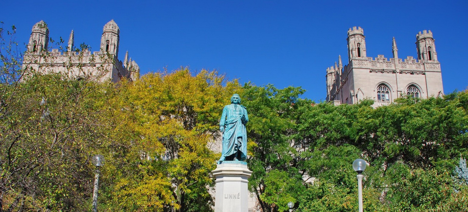 Séjour à Chicago en liberté