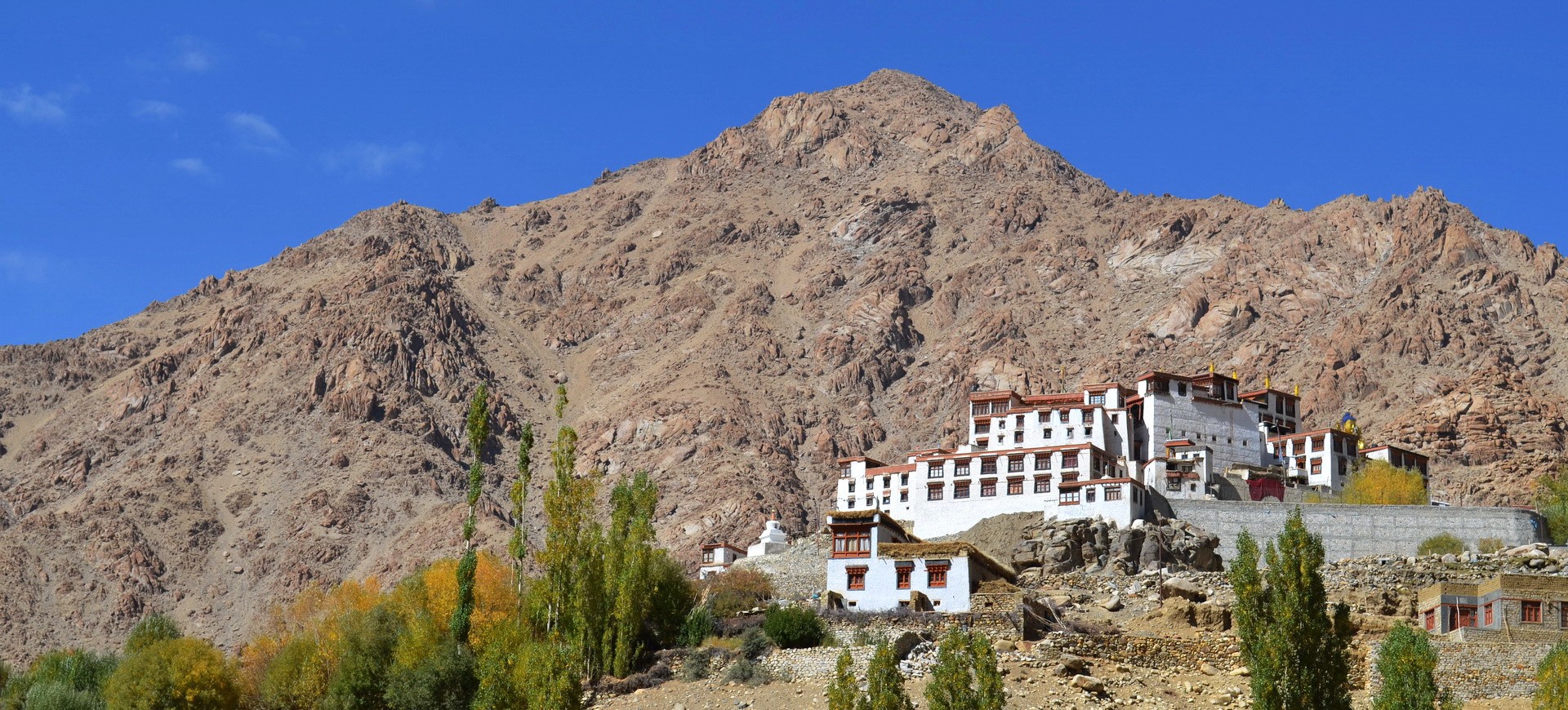 Monastère Likir à Ladakh