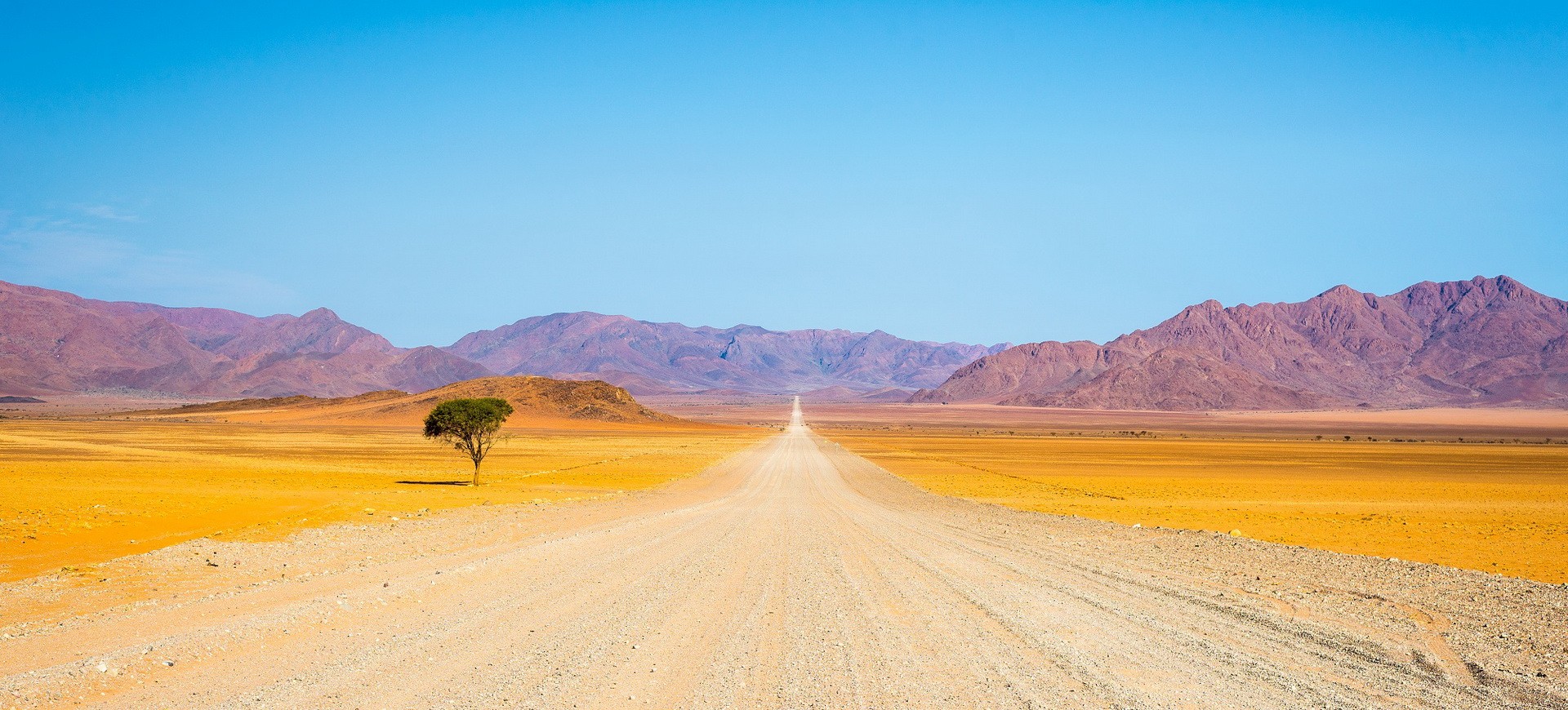 Namibie Désert du Namib
