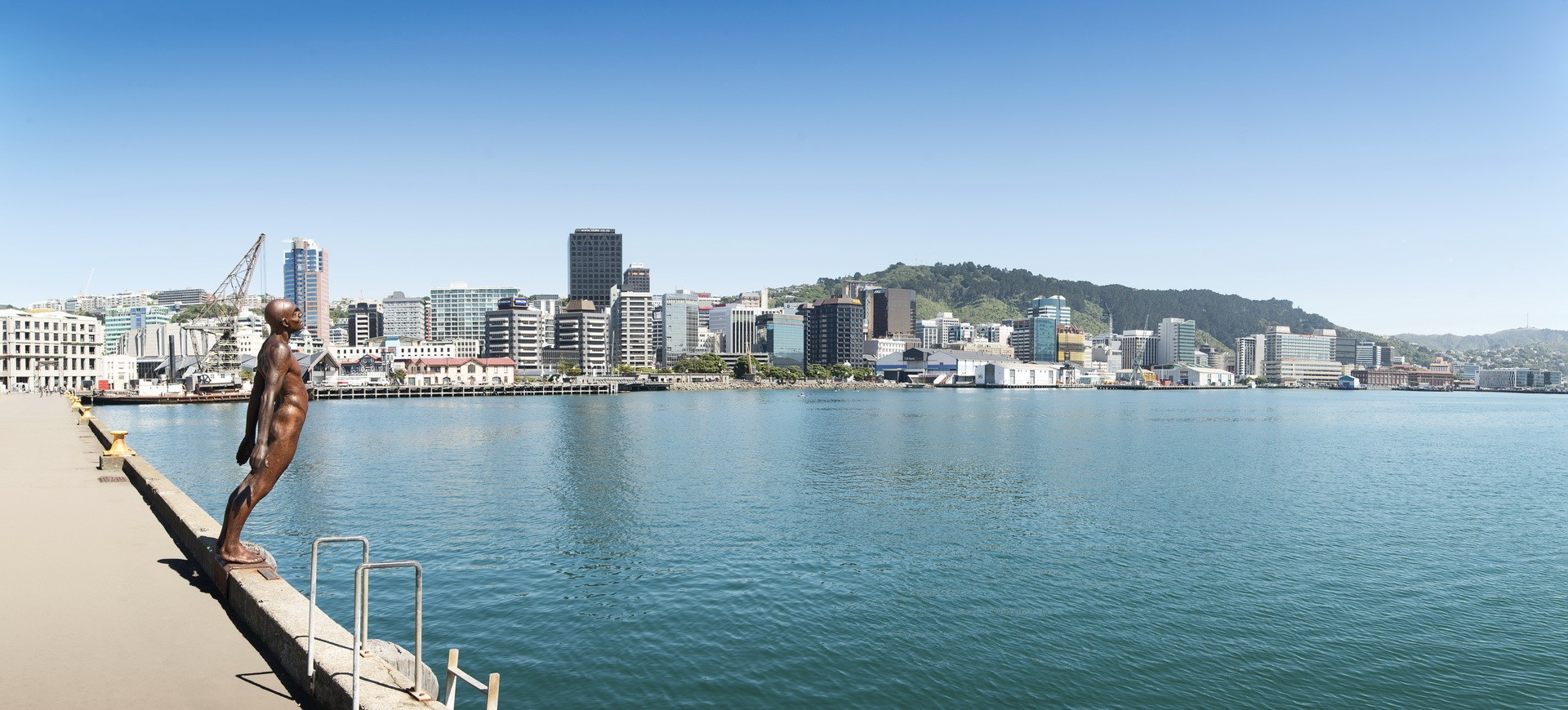 Vue panoramique sur Wellington