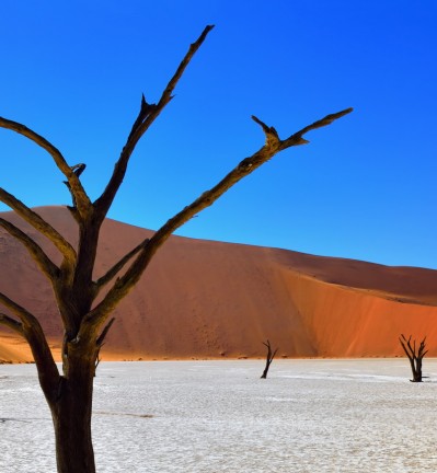 Namibie Désert du Namib Deadvlei