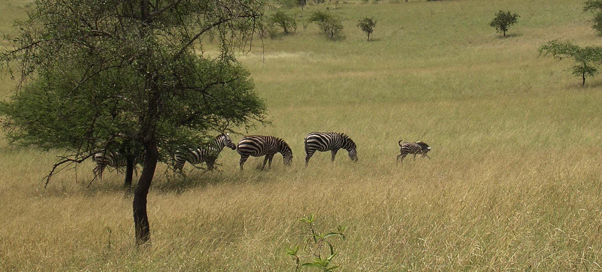 Formalités visa groupes en Ethiopie