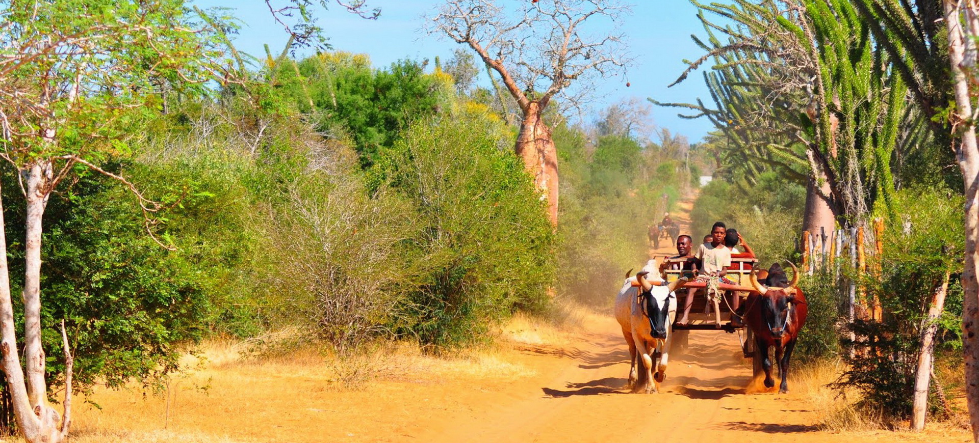 Conseils pratiques pour groupes à Madagascar