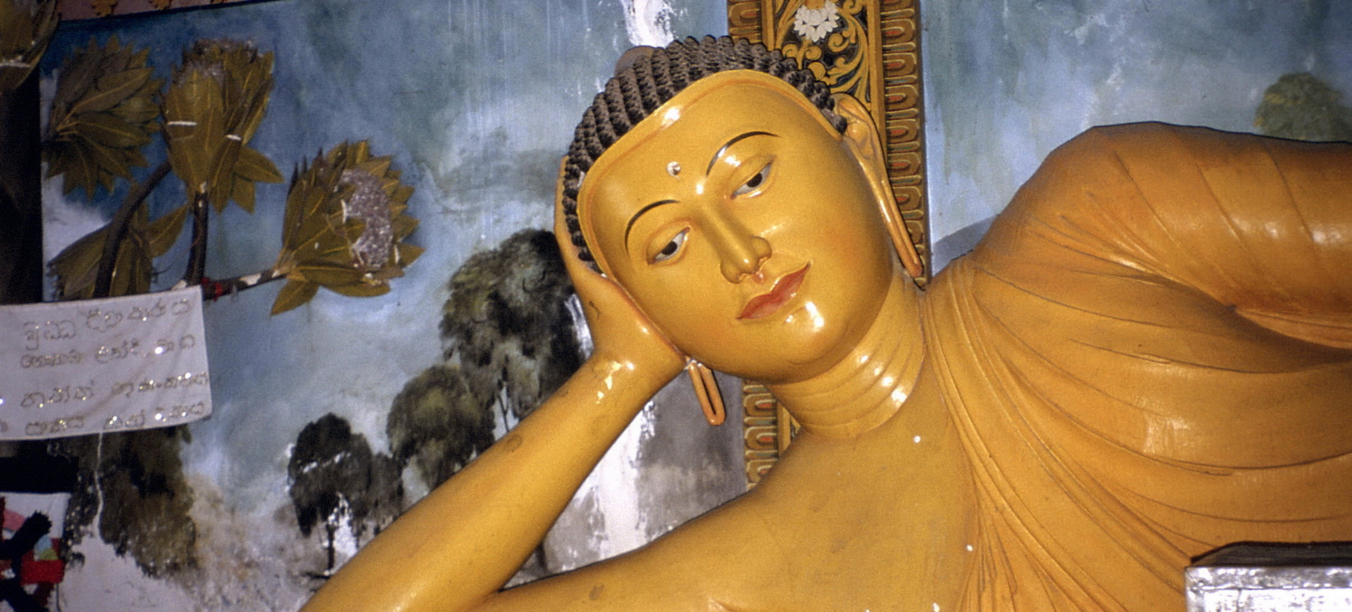 Conseils pratiques pour groupes Sri Lanka